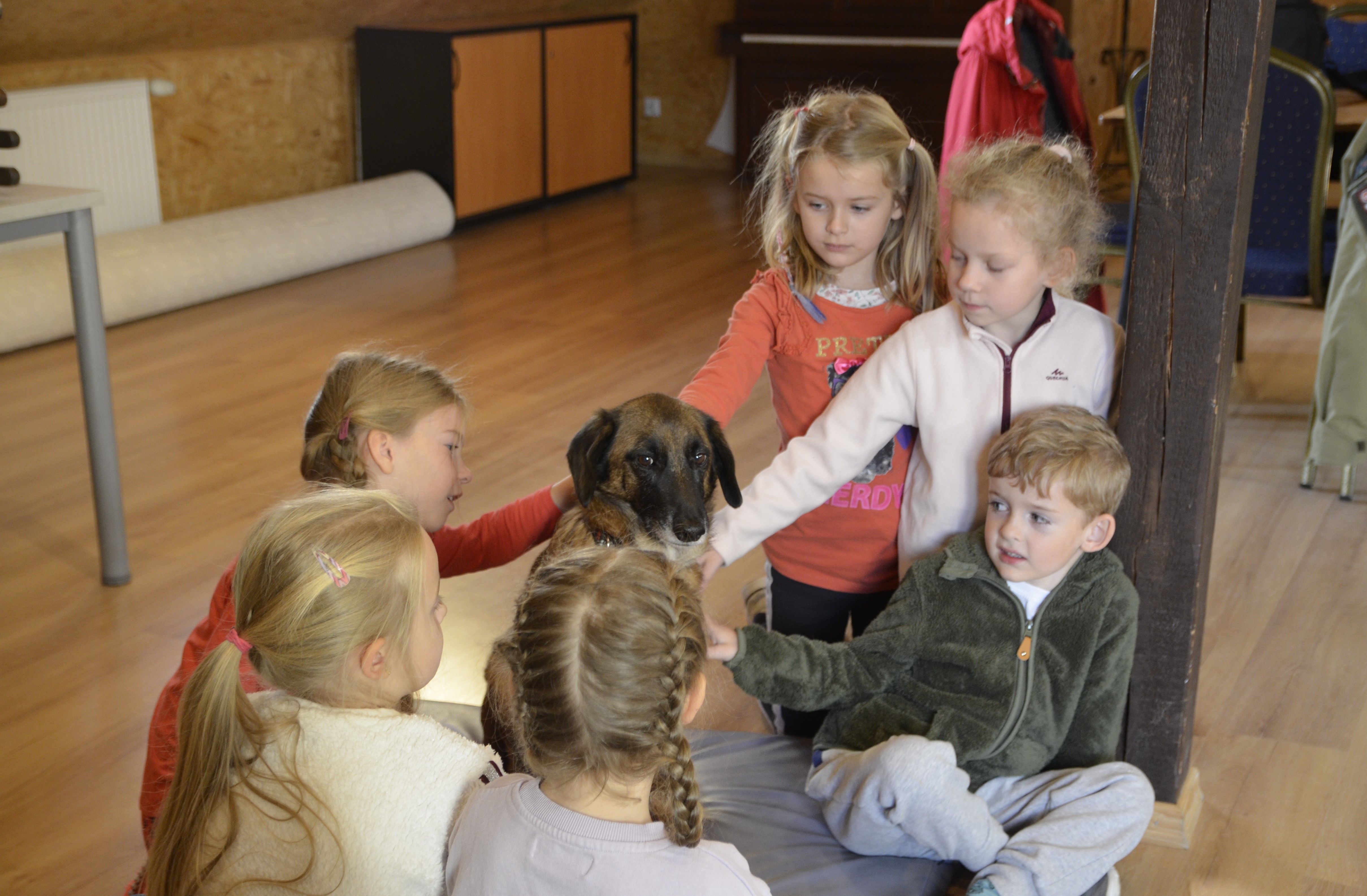 Zajęcia edukacyjne