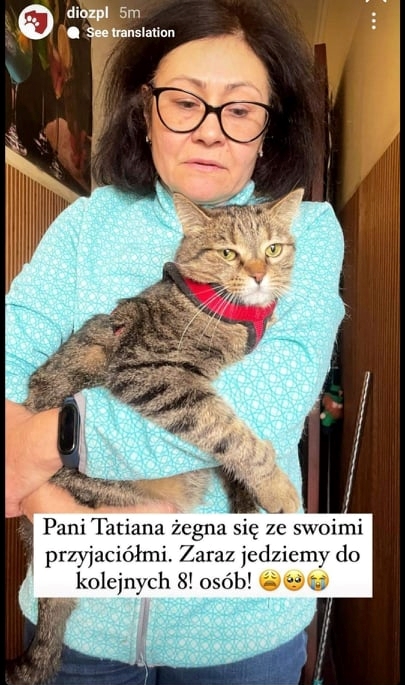 Pani Tatiana i jej koty